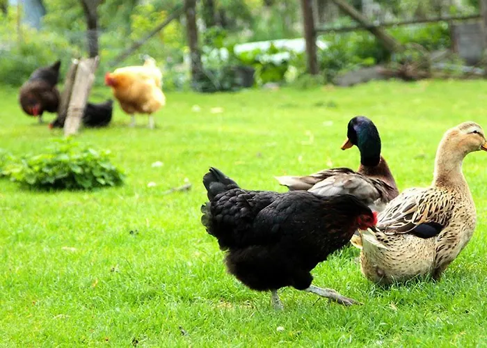 Σπίτι διακοπών De La Ferme De La Cote Les Damps